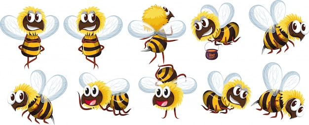 蜂キャラクターのセット プレミアムベクター