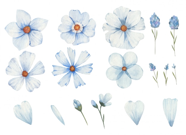 白い背景のさまざまな種類のクリップアートイラスト水彩画の青い花のセット プレミアムベクター