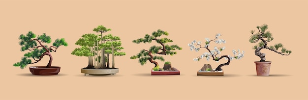 コンテナで育てられた盆栽日本の木のセット 美しいリアルな木 盆栽風の木 赤いボックスの盆栽 装飾的な小さな木のイラスト ネイチャーアート プレミアムベクター