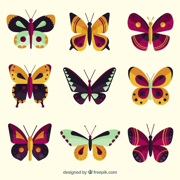 Set of butterflies with different colors