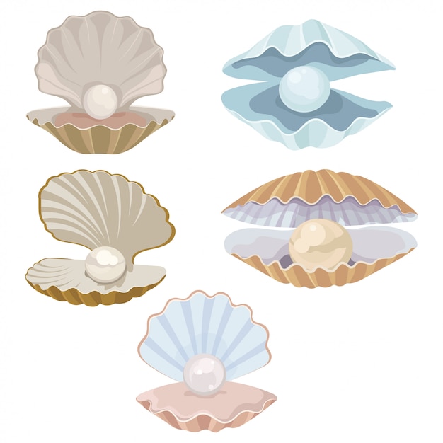 漫画の貝殻と真珠のセット 貝殻 あさりのイラスト プレミアムベクター
