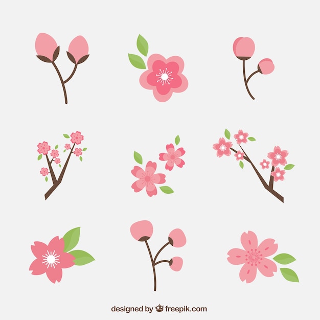 Set Of Cherry Blossoms Vector | Free Download