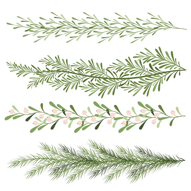 クリスマスの植物のセットです ヤドリギの小枝 針葉樹の枝 長い風景 白い背景の上の新年のイラスト プレミアムベクター