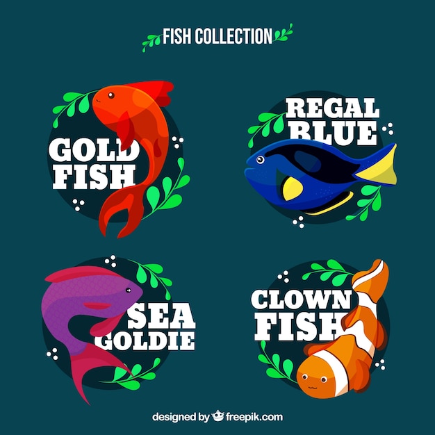 Set of colorful fishes in different\
species