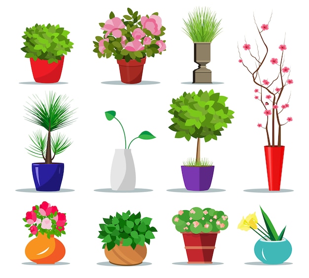 家のためのカラフルな植木鉢のセットです 植物や花のための屋内鍋 イラスト モダンなフラワーポットと花瓶のコレクション プレミアムベクター
