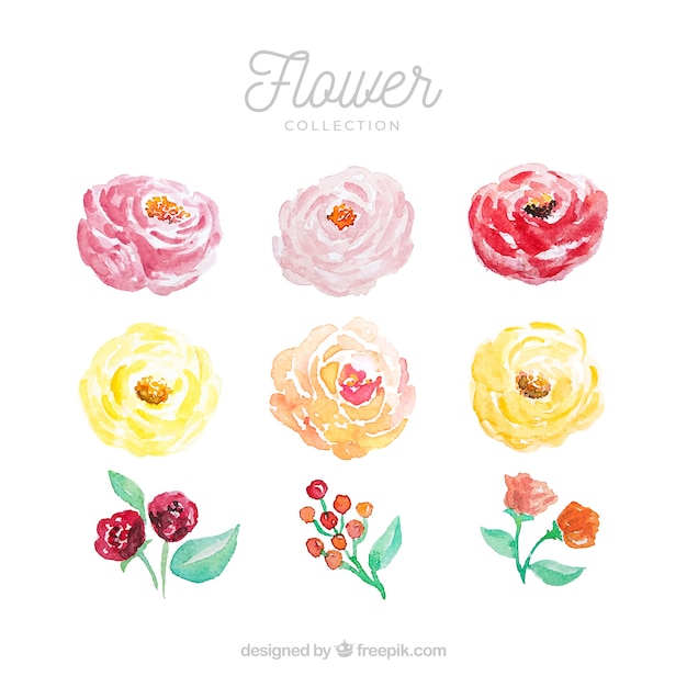 Set of colorful flowers in watecolor\
style
