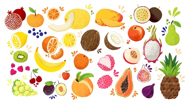 プレミアムベクター カラフルな手描きの果物 トロピカルスイートフルーツ 柑橘系の果物のイラスト のセット リンゴ ナシ オレンジ バナナ パパイヤ ドラゴンフルーツなど