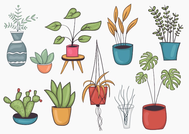 カラフルな手描きの鉢植えのイラストのセット プレミアムベクター