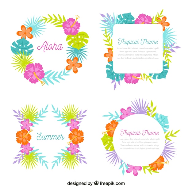 Set of colorful leaves and tropical flower
frames