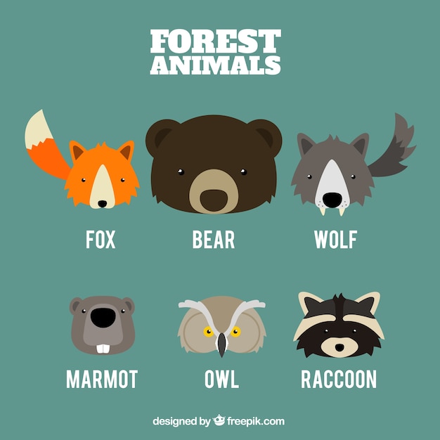 Download Set of cute animal faces Vector | Free Download