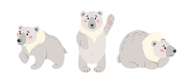 かわいい漫画のシロクマのセットです 北極の白いクマは 白い背景で隔離 イラストセット プレミアムベクター