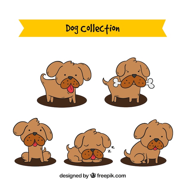 Set of cute dog in hand-drawn style