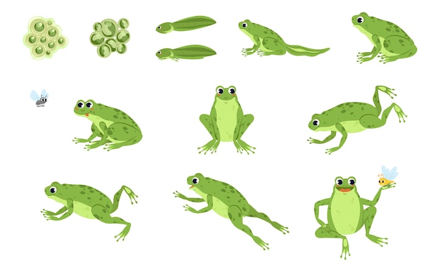 かわいいカエルとカエルの王子の漫画のキャラクターのセットです カエルのジャンプアニメーションシーケンス プレミアムベクター
