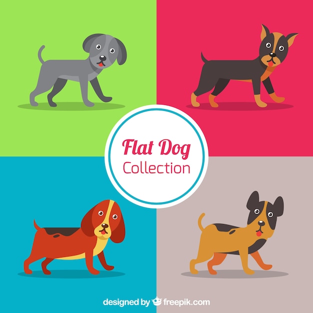 Set of different dog breeds in flat\
design