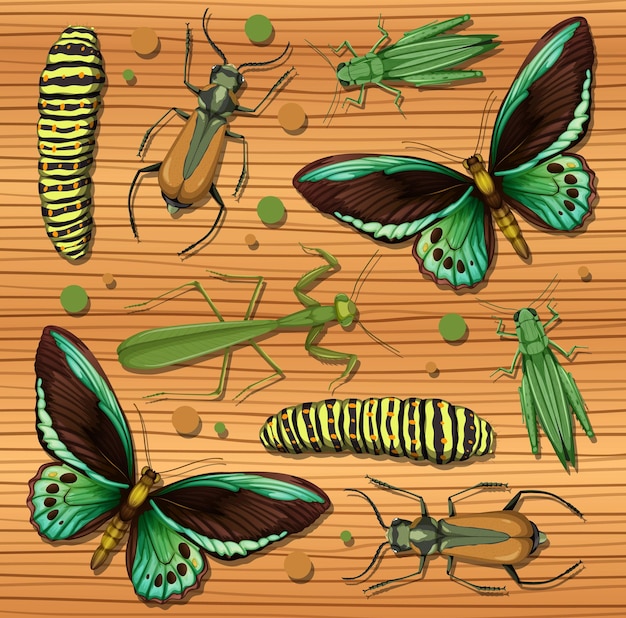 木製の壁紙の背景にさまざまな昆虫のセット 無料のベクター