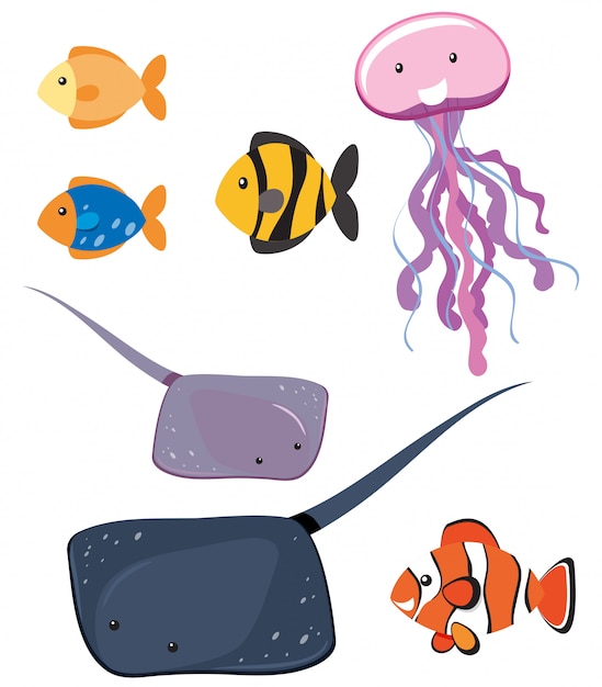 Download Nemo Fish Vectors, Photos and PSD files | Free Download