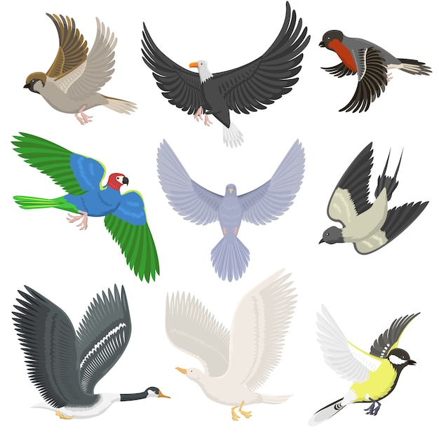 別の翼の野生の空飛ぶ鳥漫画かわいい動物相羽飛行動物シルエットのセット 春の自由の自然概念 プレミアムベクター