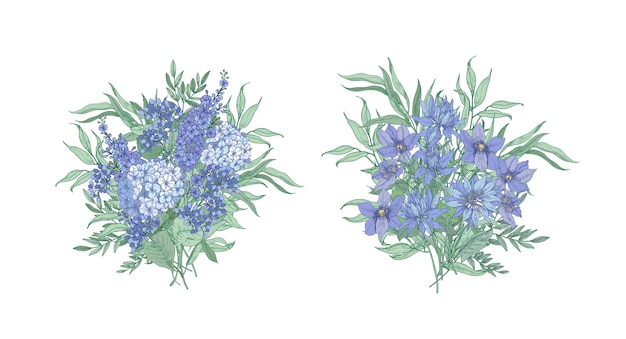 分離された美しい青い野生の花と開花ハーブで作られたエレガントな花束のセット プレミアムベクター 分離された美しい青い野生の花と開花ハーブで作られたエレガントな花束のセット プレミアムベクター