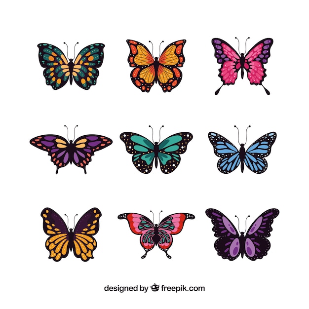 Set of elegant butterflies