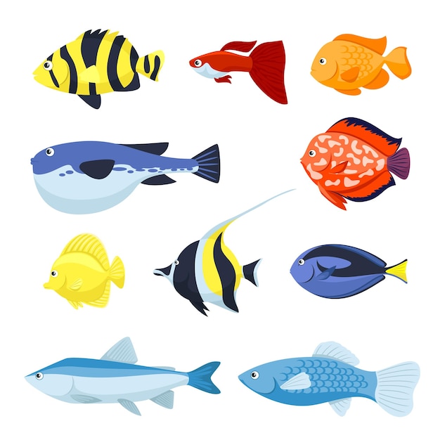 水族館 海 川の動物のイラストの魚のセット 無料のベクター