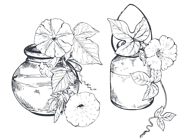 花の組成物のセット 花瓶や壺に手描きの花や植物の花束 スケッチ風のモノクロイラスト プレミアムベクター