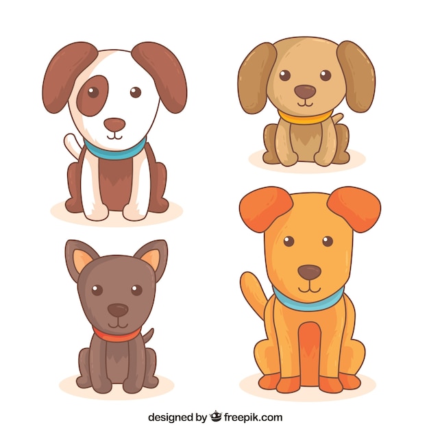 Set of four cute dogs of different
breeds