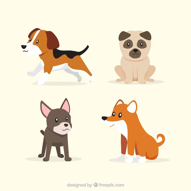 Set of four cute puppies in flat design Vector | Free Download