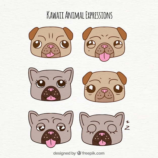 Set of funny dog ​​faces with\
expressions