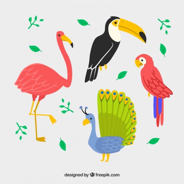 Set of hand drawn exotic birds