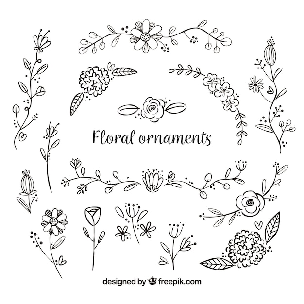 Download Set of hand drawn flower ornaments Vector | Free Download