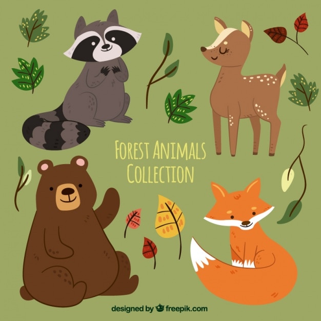 Set of hand drawn forest animals with leaves Vector | Free Download