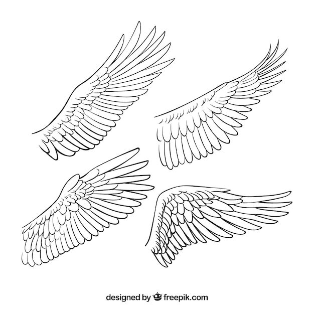 Set of hand drawn wings Vector | Free Download