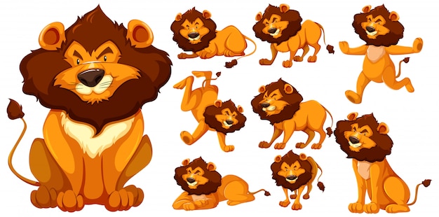 ライオンの漫画のキャラクターのセット 無料のベクター