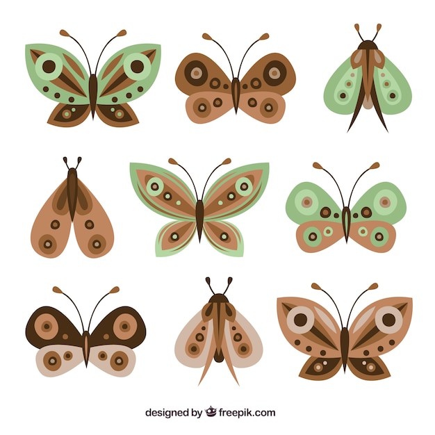 Set of nine decorative butterflies in brown and
green tones