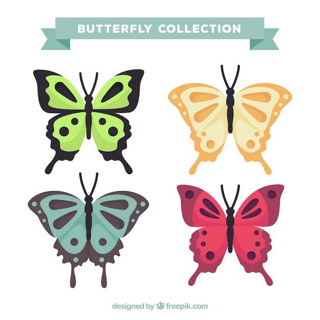 Set of ornamental butterflies
