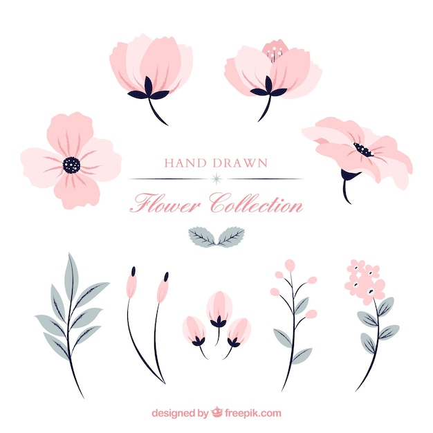 Set of pink flowers in hand drawn style