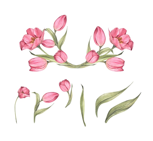 ピンクのチューリップと葉っぱのセット チューリップの花束 フラワーアレンジメント 水彩イラスト プレミアムベクター