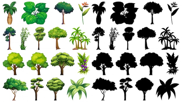 植物と木のシルエットのセット 無料のベクター