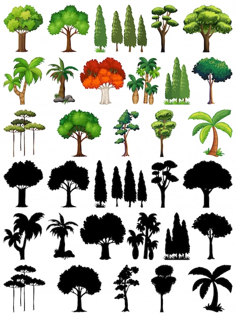 植物と木のシルエットのセット 無料のベクター