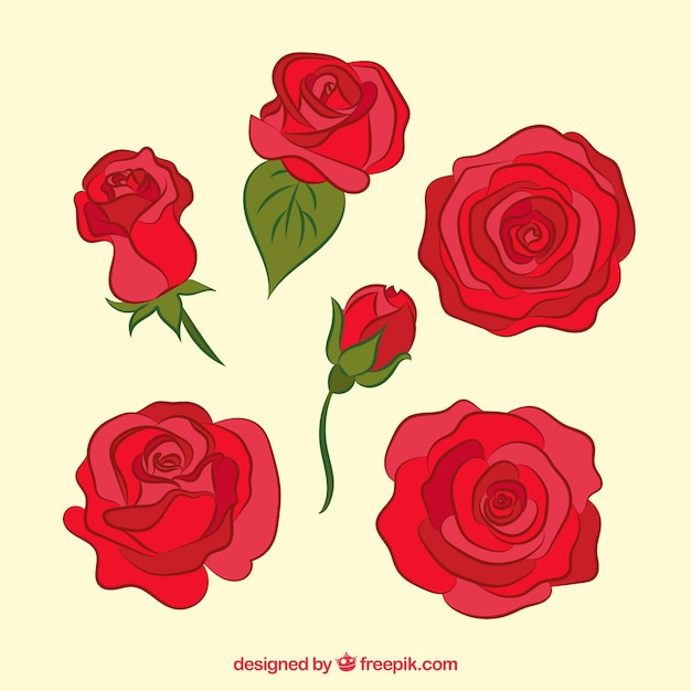 Set of pretty roses in red tones