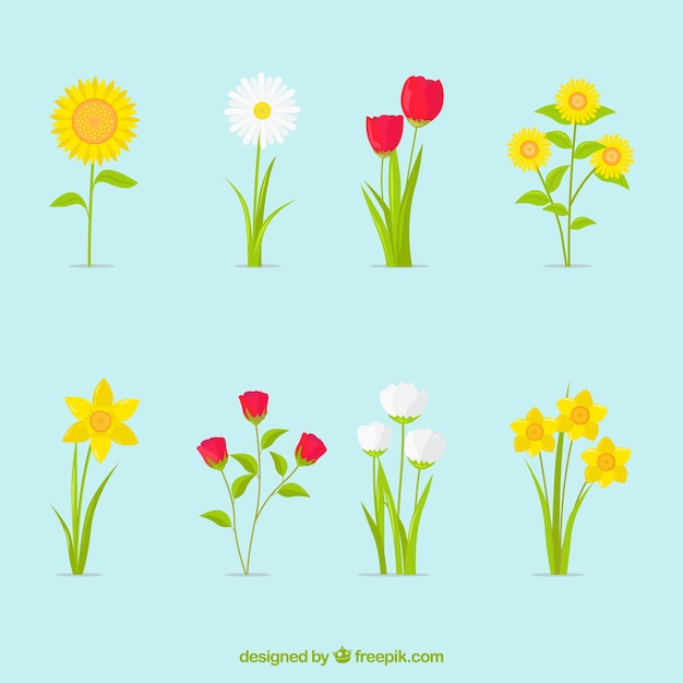 Set of pretty spring flowers in flat
design