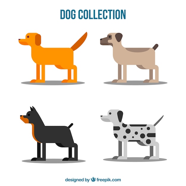 Set of profile dogs in flat design