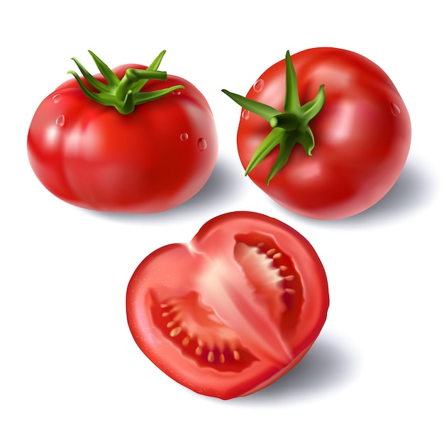 Set of realistic full and sliced tomatoes vectors Free Vector