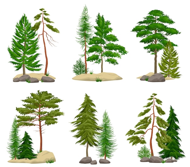 針葉樹の土と分離された岩と現実的な松林の要素のセット 無料のベクター