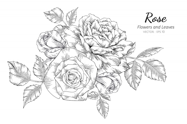 ラインアートとイラストを描くバラの花のセット プレミアムベクター