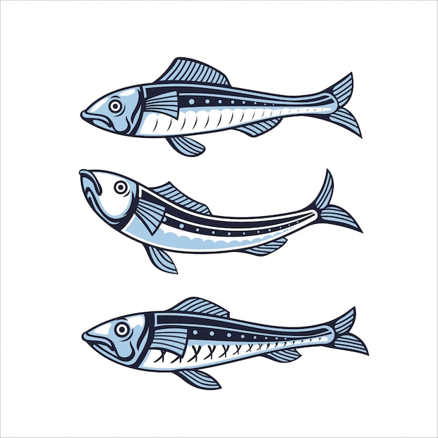 イワシのセット 魚のイラスト プレミアムベクター