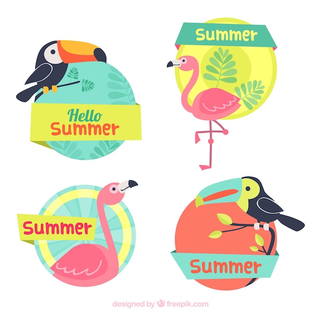 Set of summer labels with tropical birds