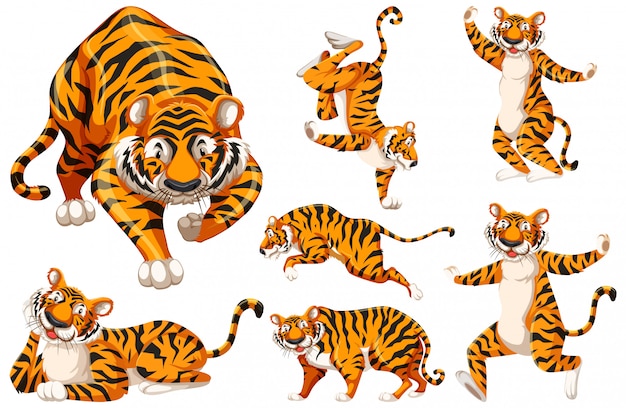 虎のキャラクターのセット 無料のベクター