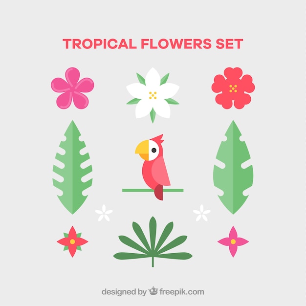Set of tropical flowers and bird in flat
style