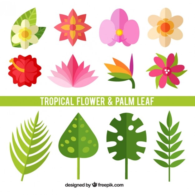 Set of tropical flowers and leaves in flat\
design